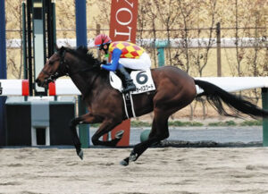 【競馬予想】第29回シリウスステークス(GⅢ) /2025