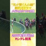 #競馬 #宝塚記念 #メイショウタバル #武豊