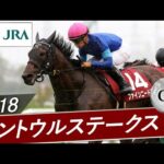 2018年 セントウルステークス(GⅡ) | ファインニードル | JRA公式