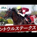 2017年 セントウルステークス(GⅡ) | ファインニードル | JRA公式