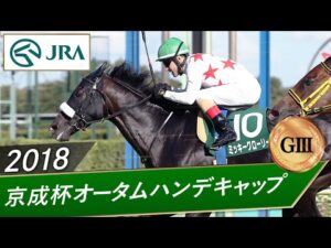 2018年 京成杯オータムハンデキャップ（GⅢ） | ミッキーグローリー | JRA公式