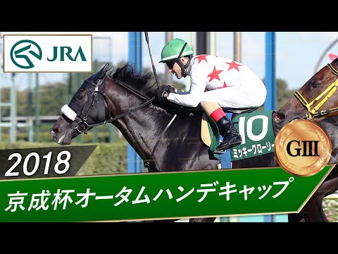 2018年 京成杯オータムハンデキャップ(GⅢ) | ミッキーグローリー | JRA公式