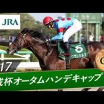 2017年 京成杯オータムハンデキャップ（GⅢ） | グランシルク | JRA公式
