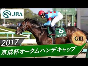 2017年 京成杯オータムハンデキャップ（GⅢ） | グランシルク | JRA公式