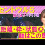 【先週的中!】「未知の魅力!すごく気になる!」トウシンマカオ、ママコチャ、カルチャーデイ・・・セントウルステークス(GⅡ)を元ジョッキーの細江純子さんが解説!<細江純子のネタ帳>