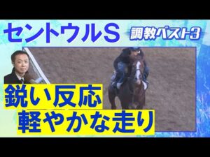 【９週連続調教診断上位馬が激走中！】トウシンマカオ、ママコチャ、カルチャーデイ・・・競馬エイト・高橋賢司トラックマンの調教解説＜セントウルステークス(ＧⅡ)＞