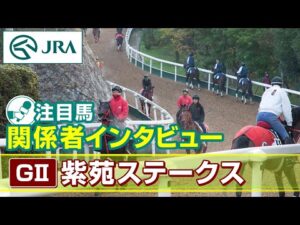 【注目馬 関係者インタビュー】2025年 紫苑ステークス｜JRA公式
