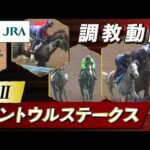 【調教動画】2025年 セントウルステークス|JRA公式
