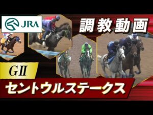 【調教動画】2025年 セントウルステークス｜JRA公式