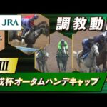 【調教動画】2025年 京成杯オータムハンデキャップ|JRA公式
