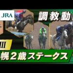【調教動画】2025年 札幌2歳ステークス|JRA公式