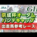 【参考レース】2025年 京成杯オータムハンデキャップ|JRA公式