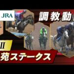 【調教動画】2025年 紫苑ステークス|JRA公式