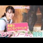 【今週末はいよいよ前哨戦・プランスドランジュ賞!】「日本馬初めての凱旋門賞勝利を…」斉藤崇史調教師と間宮辰徳助手の想いに迫る!クロワデュノールの素顔も必見!<菅井友香のウマ友になってくれませんか?>