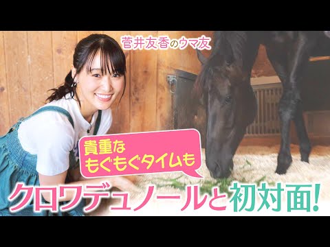 【今週末はいよいよ前哨戦・プランスドランジュ賞！】「日本馬初めての凱旋門賞勝利を…」斉藤崇史調教師と間宮辰徳助手の想いに迫る！クロワデュノールの素顔も必見！＜菅井友香のウマ友になってくれませんか？＞