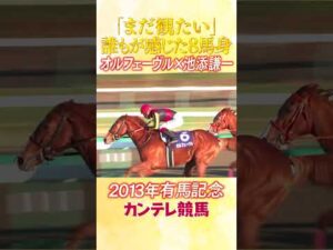 #競馬 #有馬記念  #オルフェーヴル  #池添謙一