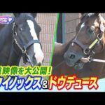 「血統図を変えていく種牡馬へ」イクイノックス&ドウデュース!名勝負を繰り広げた同世代のスターホースの種牡馬生活最新情報!種牡馬になった名馬たち2025【うまんちゅ】