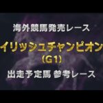 【参考レース】2025年  アイリッシュチャンピオンステークス|JRA公式