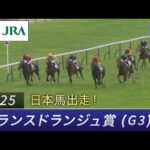 【日本馬出走】2025年 プランスドランジュ賞(G3) | クロワデュノール | JRA公式