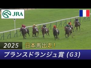 【日本馬出走】2025年 プランスドランジュ賞(G3) | クロワデュノール | JRA公式
