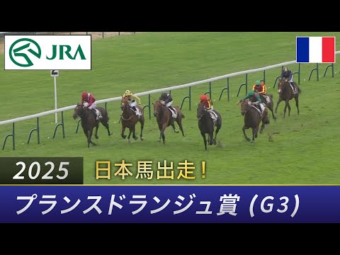 【日本馬出走】2025年 プランスドランジュ賞(G3) | クロワデュノール | JRA公式