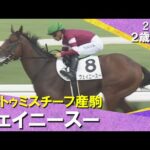 1番人気ウェイニースーが7馬身差で圧勝!川田騎手「返し馬から素晴らしかった」 2025年 9月14日(日)2歳新馬 阪神ダート1800m 実況:川島壮雄【カンテレ公式】