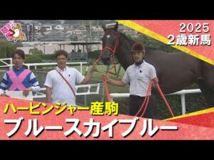 ブルースカイブルーがハナ差の激戦制す！和田竜二騎手「ひとつ勝つことで作り方も変わる」　2025年 9月14日(日)２歳新馬　阪神芝2000m　実況：石田一洋【カンテレ公式】