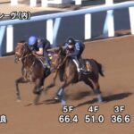 【スプリンターズステークス2025】追い切り/抜群の動きを見せたのは