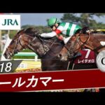 2018年 オールカマー(GⅡ) | レイデオロ | JRA公式