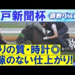 【１１週連続調教診断上位馬が激走中！】エリキング、ショウヘイ、ジョバンニ・・・競馬エイト・高橋賢司トラックマンの調教解説＜神戸新聞杯(ＧⅡ)＞
