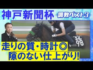 【１１週連続調教診断上位馬が激走中！】エリキング、ショウヘイ、ジョバンニ・・・競馬エイト・高橋賢司トラックマンの調教解説＜神戸新聞杯(ＧⅡ)＞