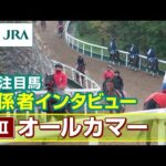 【注目馬 関係者インタビュー】2025年 オールカマー|JRA公式