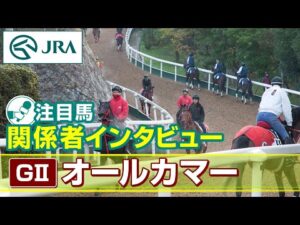 【注目馬 関係者インタビュー】2025年 オールカマー｜JRA公式
