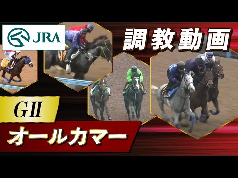 【調教動画】2025年 オールカマー｜JRA公式
