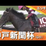 2025年 神戸新聞杯(GⅡ) エリキング 実況:川島壮雄【カンテレ公式】