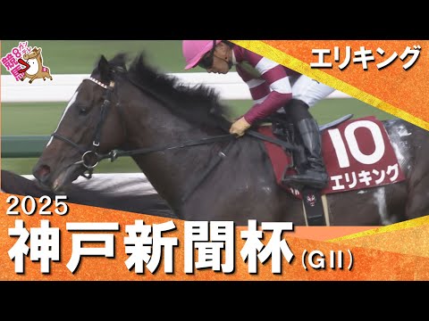 2025年 神戸新聞杯(GⅡ) エリキング 実況:川島壮雄【カンテレ公式】
