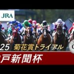2025年 神戸新聞杯(GⅡ) | 第73回 | JRA公式