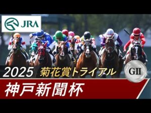 2025年 神戸新聞杯（GⅡ） | 第73回 | JRA公式