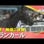 【来春の主役候補!アランカール】衝撃の末脚!斉藤崇史調教師×北村友一騎手のコンビで快勝!2025年9月20日(土) 野路菊ステークス 阪神芝1600m 実況:川島壮雄【カンテレ公式】