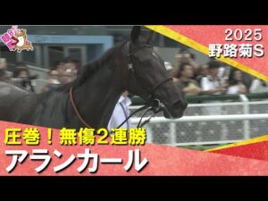 【来春の主役候補！アランカール】衝撃の末脚！斉藤崇史調教師×北村友一騎手のコンビで快勝！2025年9月20日(土) 野路菊ステークス　阪神芝1600m　実況：川島壮雄【カンテレ公式】