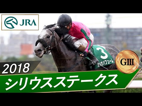 2018年 シリウスステークス（GⅢ） | オメガパフューム | JRA公式