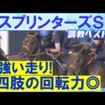 【12週連続調教診断上位馬が激走中!】サトノレーヴ、ナムラクレア、ママコチャ・・・競馬エイト・高橋賢司トラックマンの調教解説<スプリンターズステークス(GⅠ)>