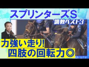 【１２週連続調教診断上位馬が激走中！】サトノレーヴ、ナムラクレア、ママコチャ・・・競馬エイト・高橋賢司トラックマンの調教解説＜スプリンターズステークス(ＧⅠ)＞