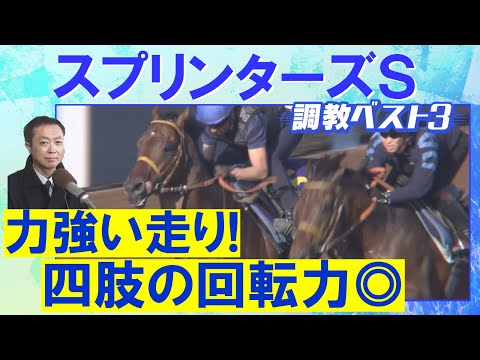 【１２週連続調教診断上位馬が激走中！】サトノレーヴ、ナムラクレア、ママコチャ・・・競馬エイト・高橋賢司トラックマンの調教解説＜スプリンターズステークス(ＧⅠ)＞