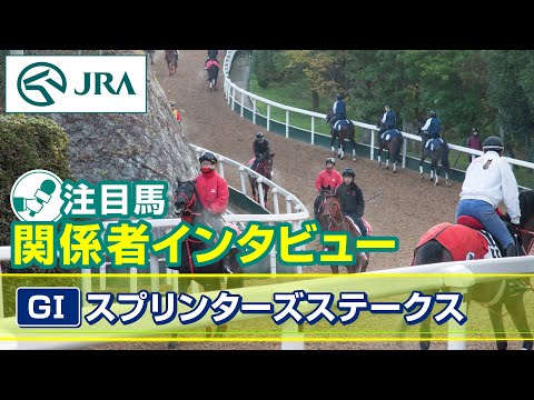 【注目馬 関係者インタビュー】2025年 スプリンターズステークス｜JRA公式
