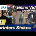 2025 Sprinters Stakes (G1) Training Video[Japanese and International runners]with English subtitles.