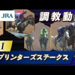 【調教動画】2025年 スプリンターズステークス|JRA公式