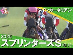 2025年 スプリンターズステークス(ＧⅠ) ウインカーネリアン◆三浦皇成騎手は127度目の挑戦で悲願のJRA・GＩ初制覇！【カンテレ公式】