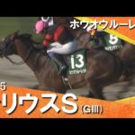 2025年 シリウスステークス(ＧⅢ) ホウオウルーレット　実況：川島壮雄【カンテレ公式】