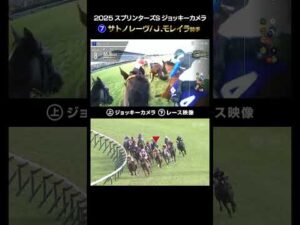 【ジョッキーカメラ×レース映像】2025年スプリンターズステークス サトノレーヴ J.モレイラ騎手 #shorts ｜JRA公式